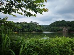 -广州市石门国家森林公园
