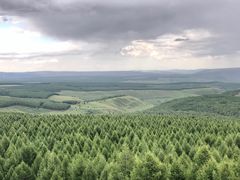 -塞罕坝国家级自然保护区