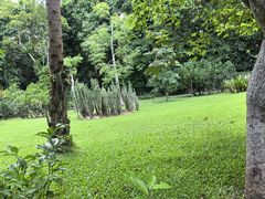 -中国科学院西双版纳热带植物园