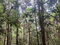 -千岛湖东南湖区