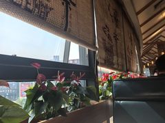 -粤点越有·茶点·粤菜(樵岭国际店)