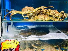 水产区-蚝专家(北滘店)