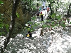 -北京上方山国家森林公园