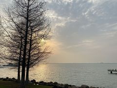 -苏州东太湖生态园