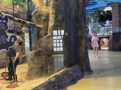 -台州海洋世界