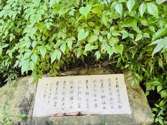 -八卦田遗址公园