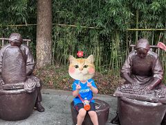 -苏州太湖国家湿地公园