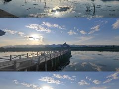-哈素海