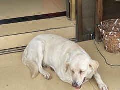 -临水阁农家乐饭店