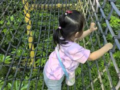 -杭州少年儿童公园
