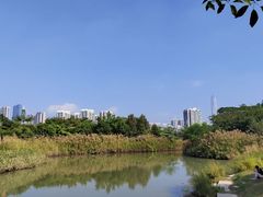 -福田红树林生态公园