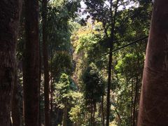 -清迈丛林飞跃 JungleFlight