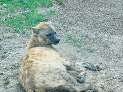 -北京野生动物园