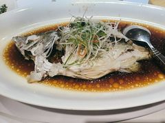 -丰收日(五角场店)