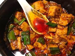 -陈麻婆豆腐总店