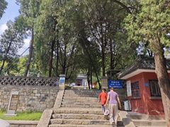 -泰山风景名胜区-普照寺