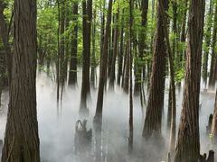 -东湖落雁景区