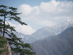 -陕西省红河谷森林公园