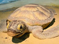 -嘉定博物馆
