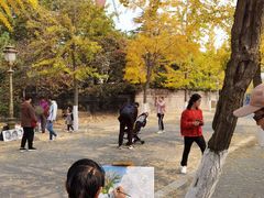 -八大关景区