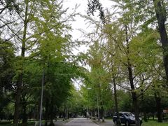 -四川大学(望江校区)
