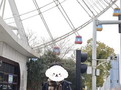 -南昌之星摩天轮