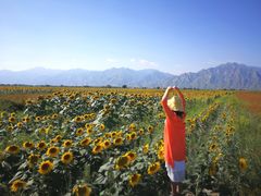 -敕勒川草原文化旅游区