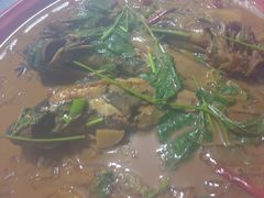 -庆岭迎宾园正宗活鱼馆