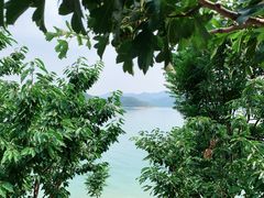 -望湖烤鱼