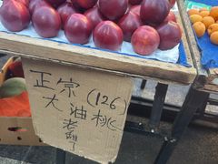 -辽宁电视塔