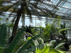 景点-国家植物园(南园)
