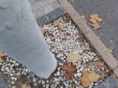 -八大关景区