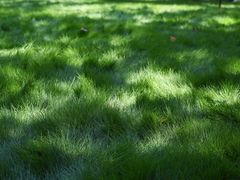 -成都市活水公园
