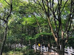 -灵岩山风景区