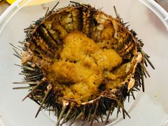 -海胆小馆(东北水饺·春柳店)