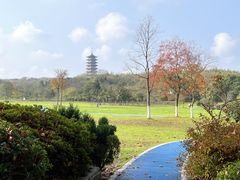 -宜兴龙背山森林公园