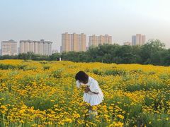 -汉长安城未央宫国家考古遗址公园