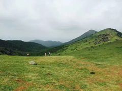 -大姆山草场