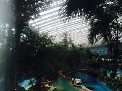 -龙脉温泉室内游泳馆