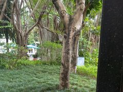 -碧水湾温泉