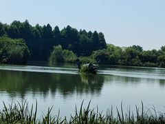 -苏州太湖国家湿地公园