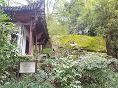 -严子陵钓台(富春江小三峡)