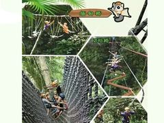 -西双版纳原始森林公园