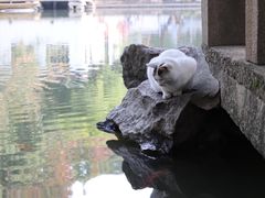 -西园戒幢律寺