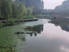 -东郊湿地公园