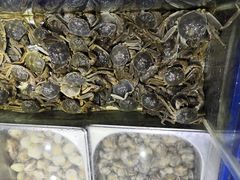 -星海汇海鲜自助烤肉火锅(百大店)