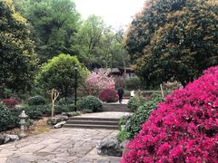 -杭州西湖风景名胜区-三生石