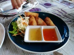 -Jungle Kitchen