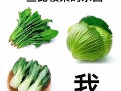 -胡须佬鸡煲四季火锅店(石厦西村直营店)