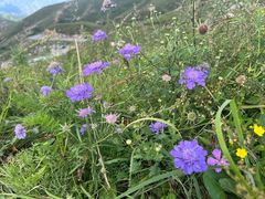 -灵山